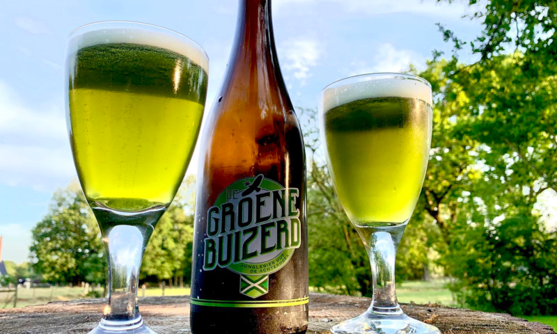 Groene Buizerd